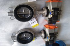 氣動(dòng)蝶閥的結構形式和特點(diǎn)？